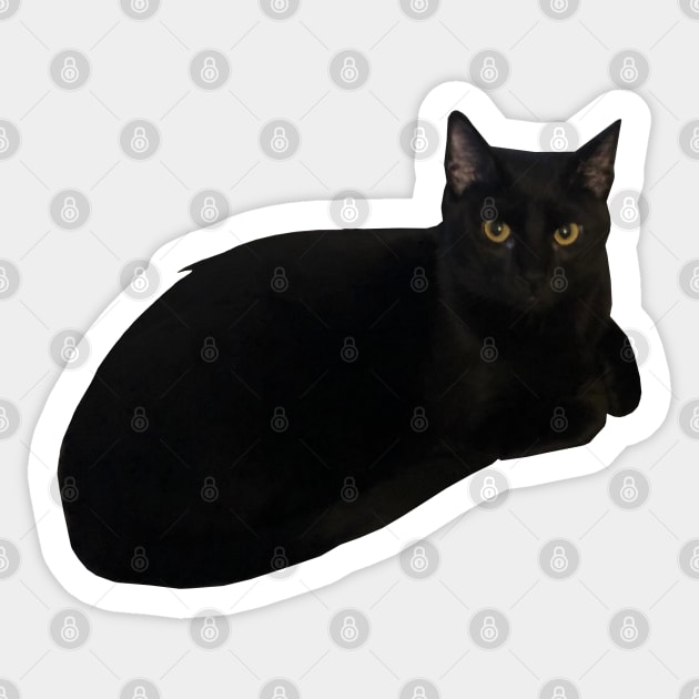 Black Cat Loaf Sticker by whizz0